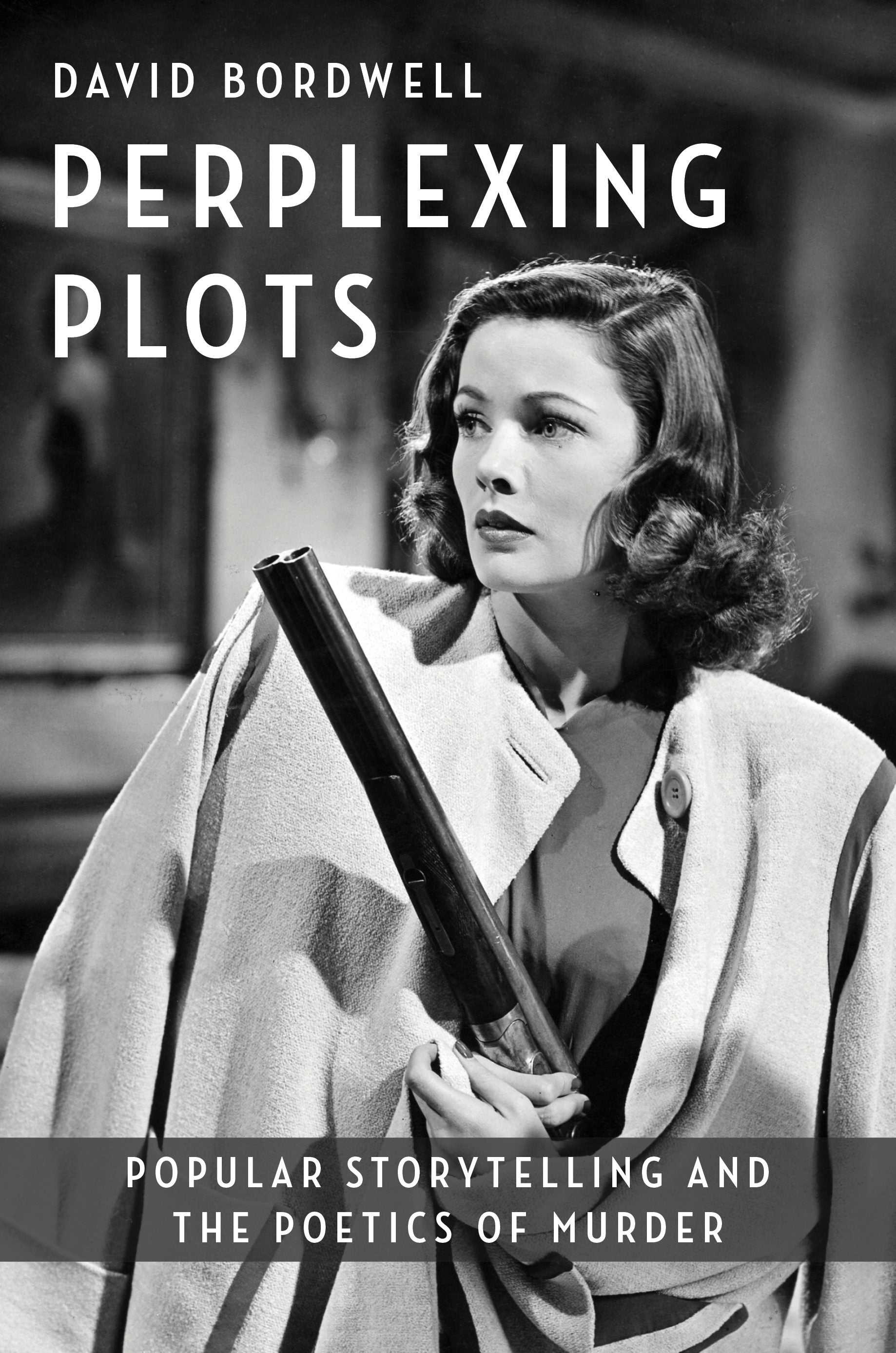Book cover image for Perplexing Plots ISBN: 9780231206587