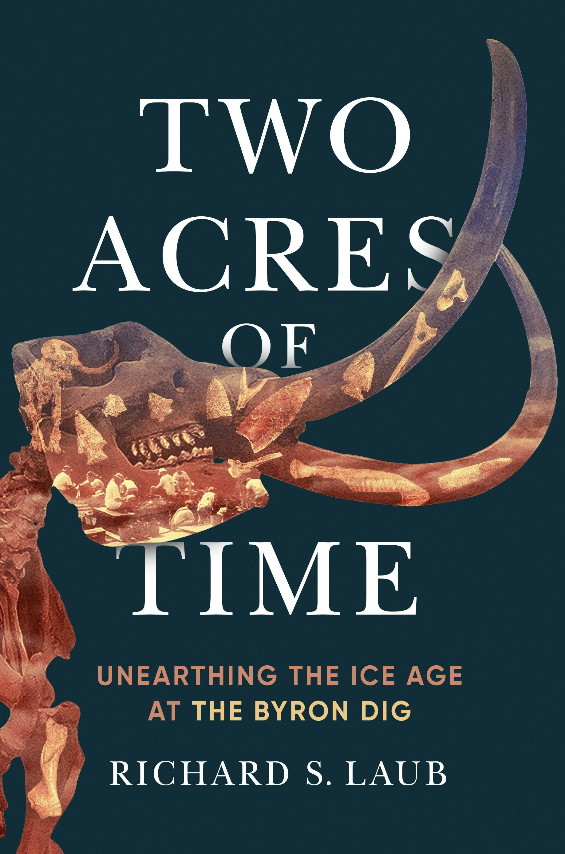 Book cover image for Two Acres of Time ISBN: 9780231206723
