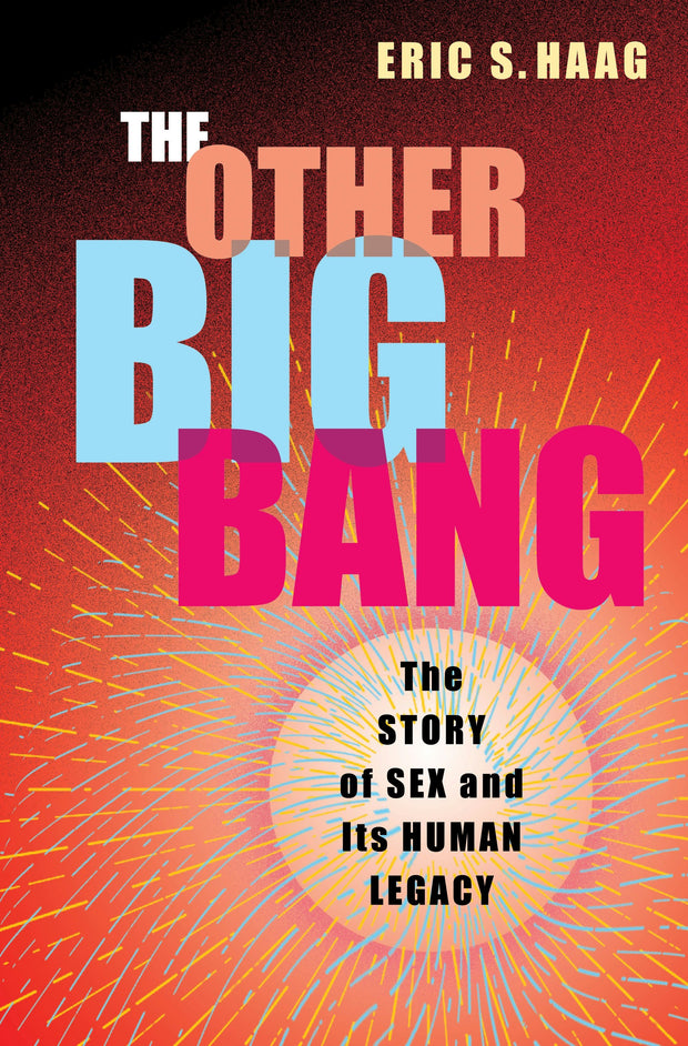 Cover image for The Other Big Bang, isbn: 9780231207140