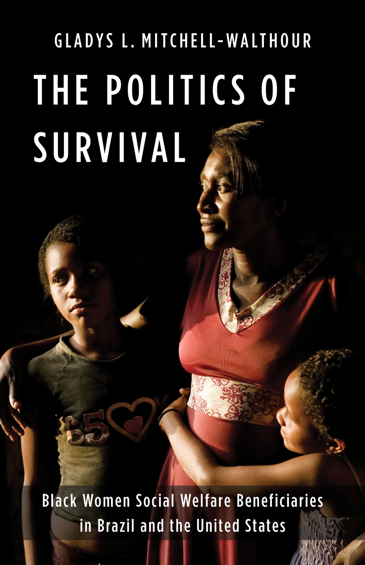 Cover image for The Politics of Survival ISBN 9780231207676