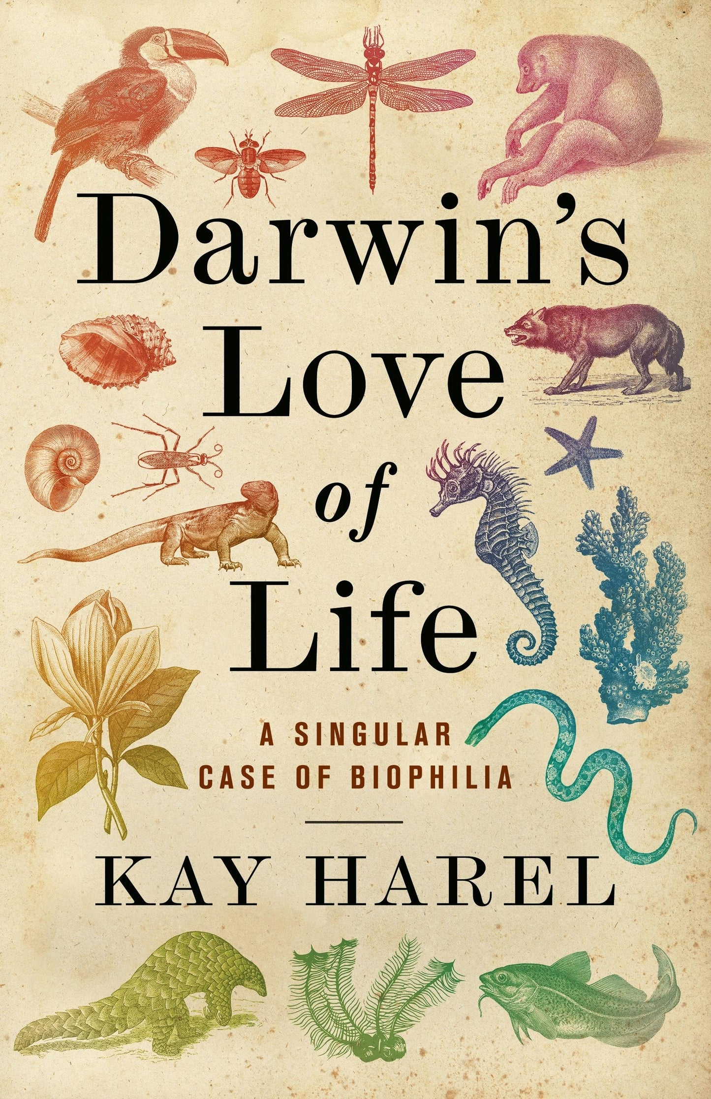 Book cover image for Darwin's Love of Life ISBN: 9780231208086