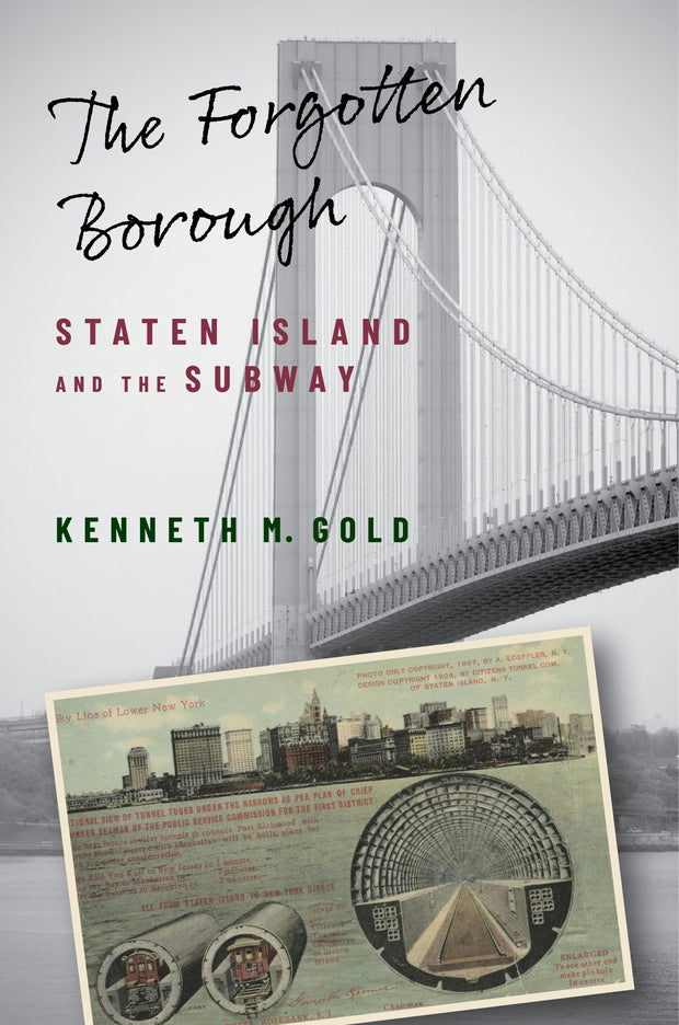 Cover image for The Forgotten Borough, isbn: 9780231208611