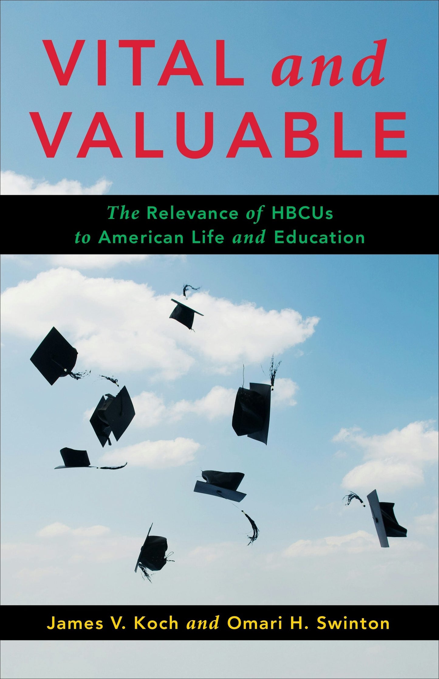 Book cover image for Vital and Valuable ISBN: 9780231208994