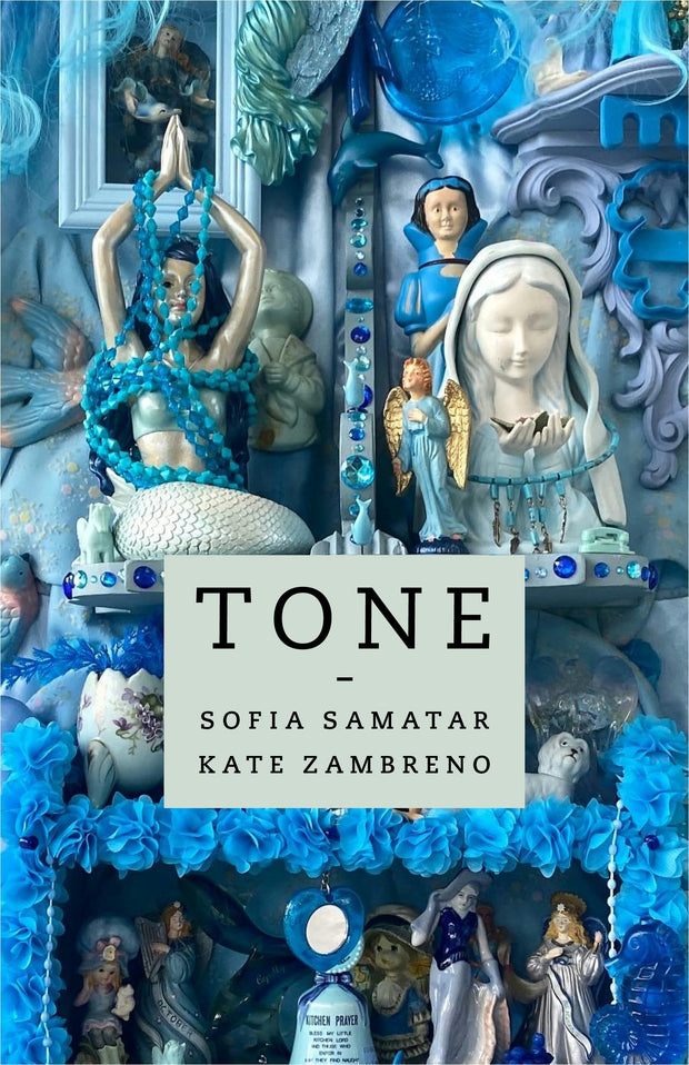 Cover image for Tone, isbn: 9780231211208
