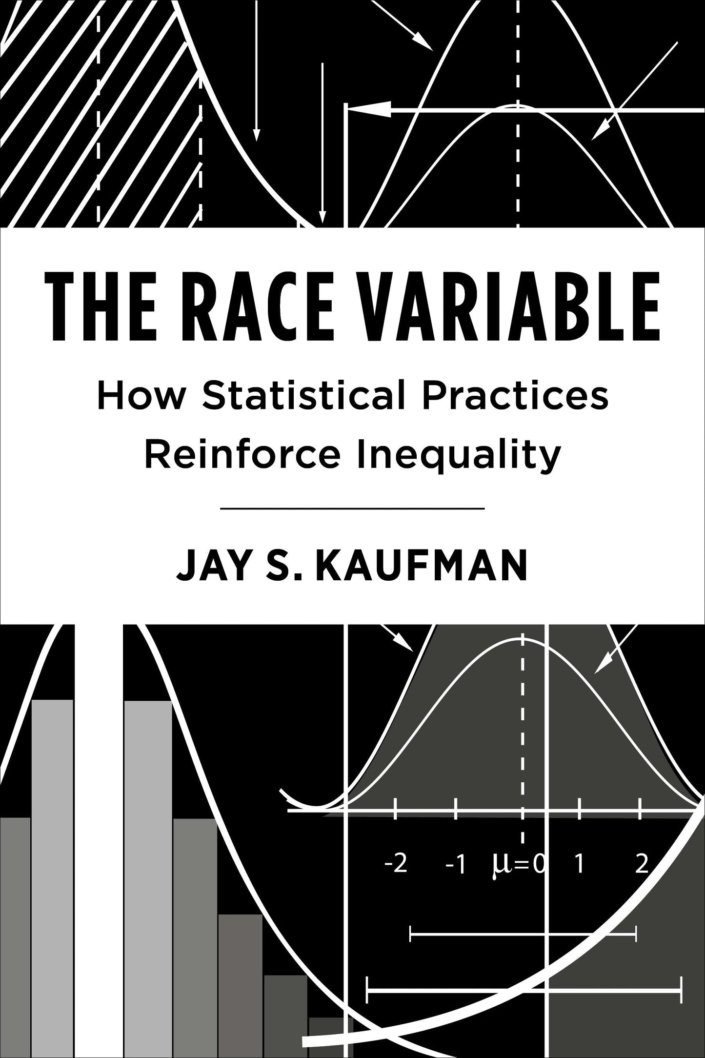 Book cover image for The Race Variable ISBN: 9780231213622