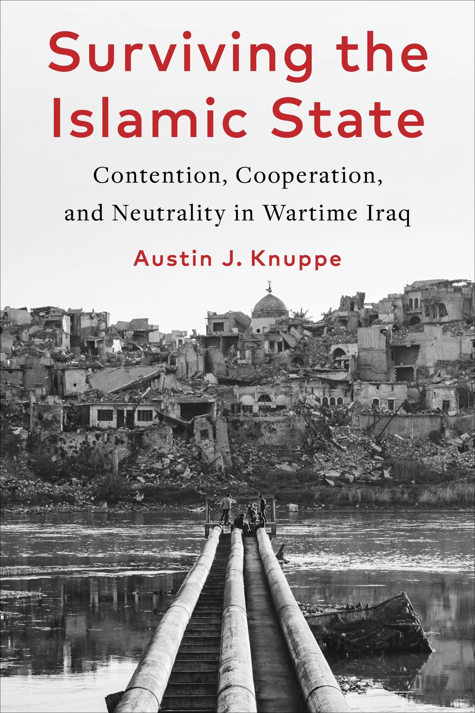 Book cover image for Surviving the Islamic State ISBN: 9780231213875
