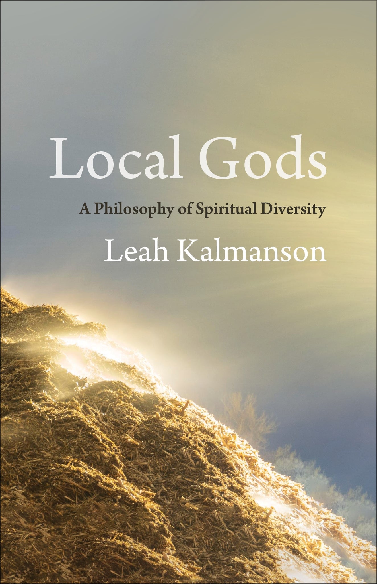 Cover image for Local Gods ISBN 9780231215435