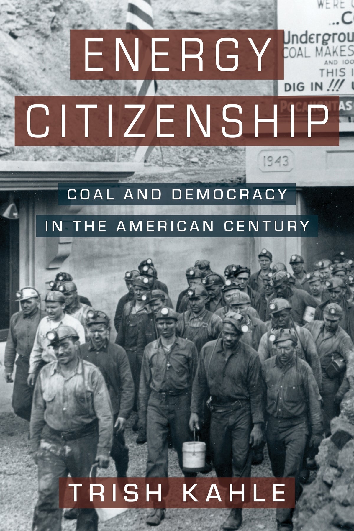 Cover image for Energy Citizenship ISBN 9780231215442