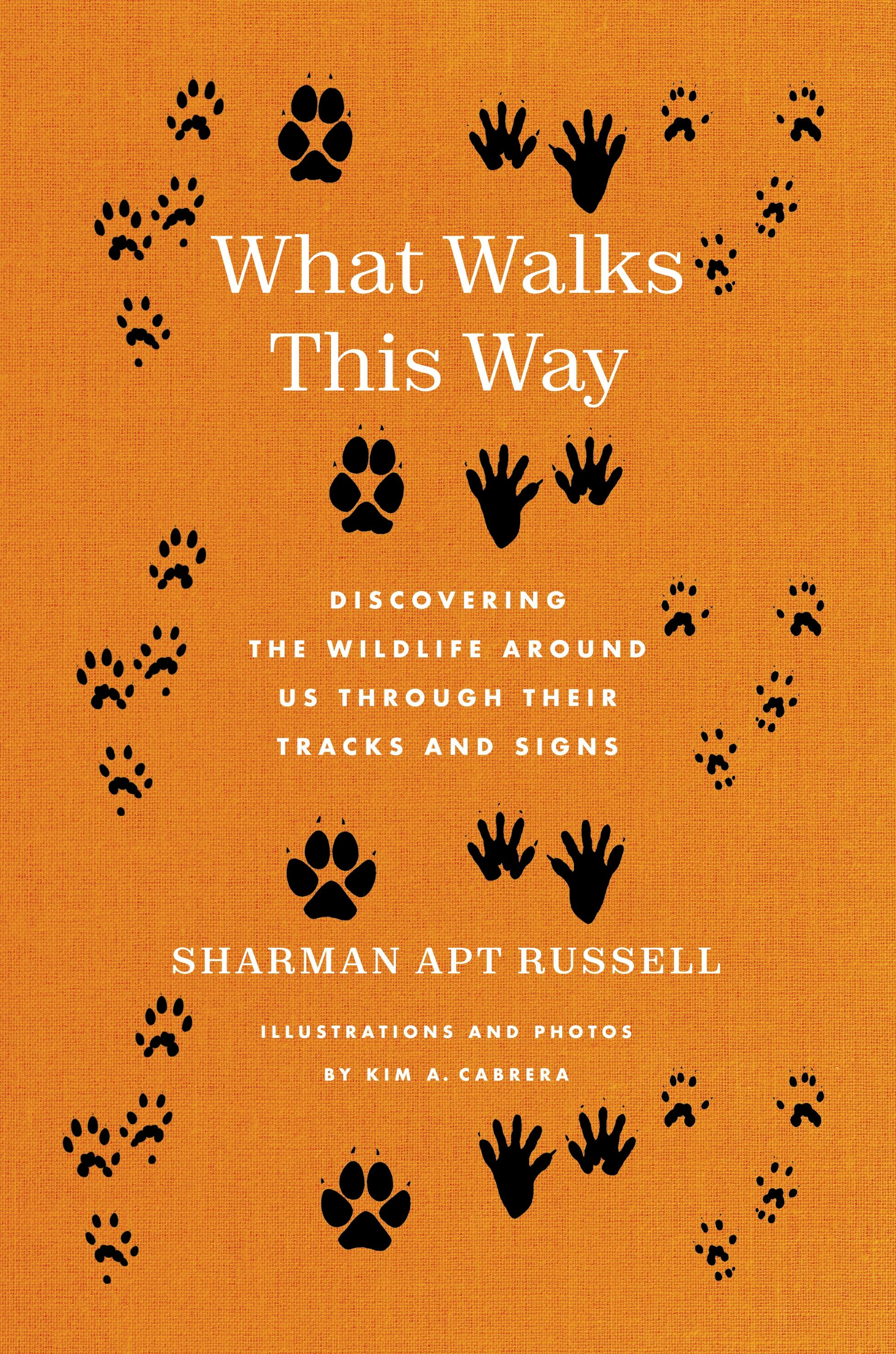 Book cover image for What Walks This Way ISBN: 9780231215992