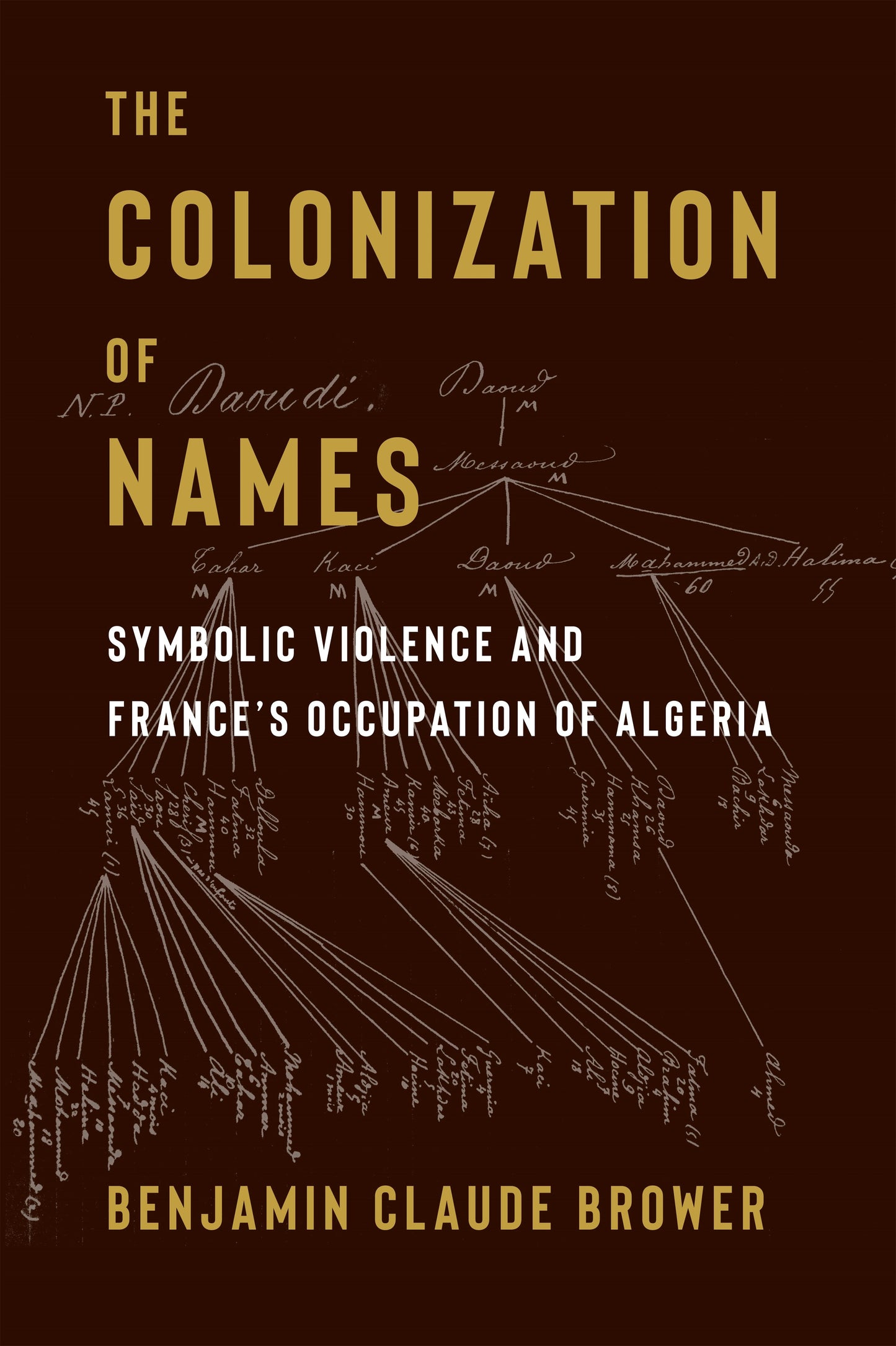 Book cover image for The Colonization of Names ISBN: 9780231216012