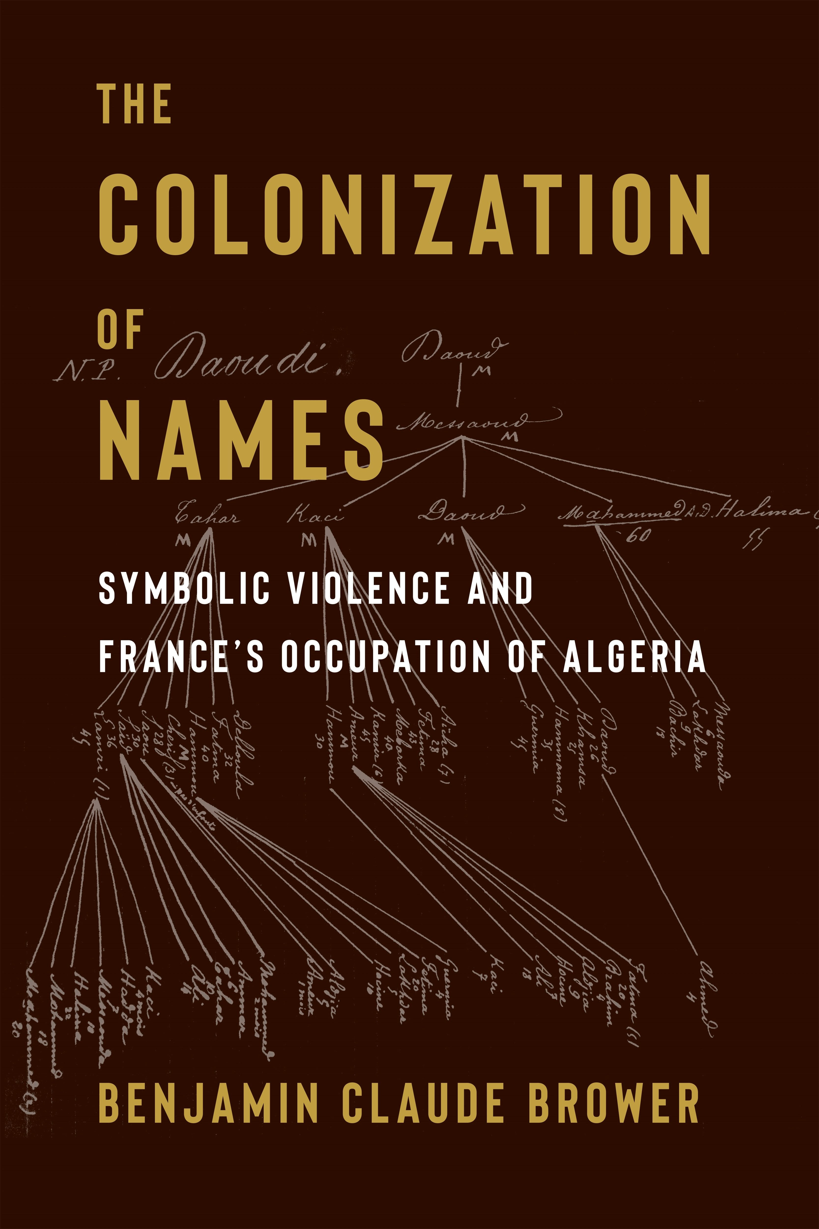 Book cover image for The Colonization of Names ISBN: 9780231216012