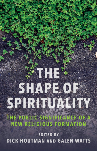 Cover image for The Shape of Spirituality, isbn: 9780231216852