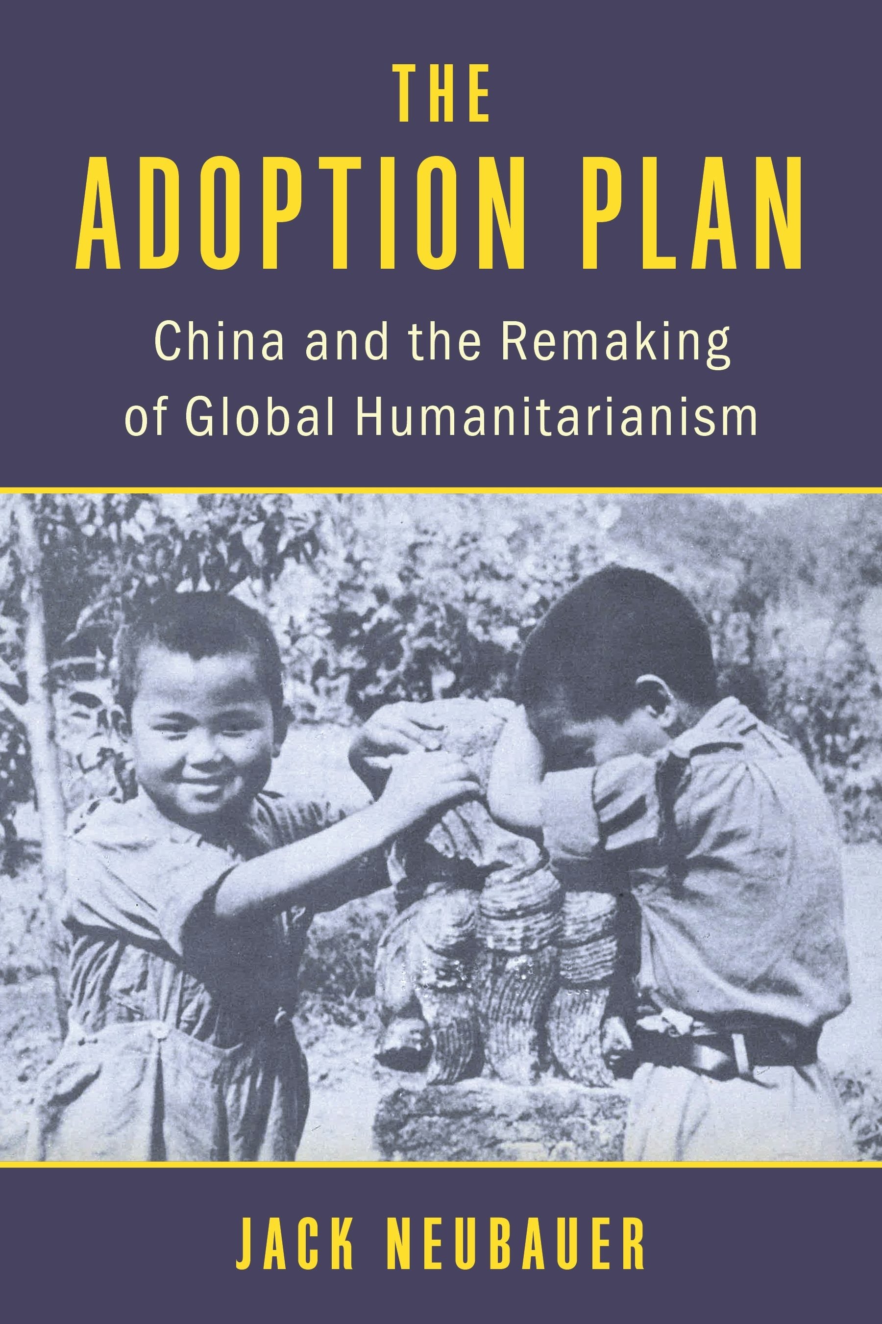 Book cover image for The Adoption Plan ISBN: 9780231218023