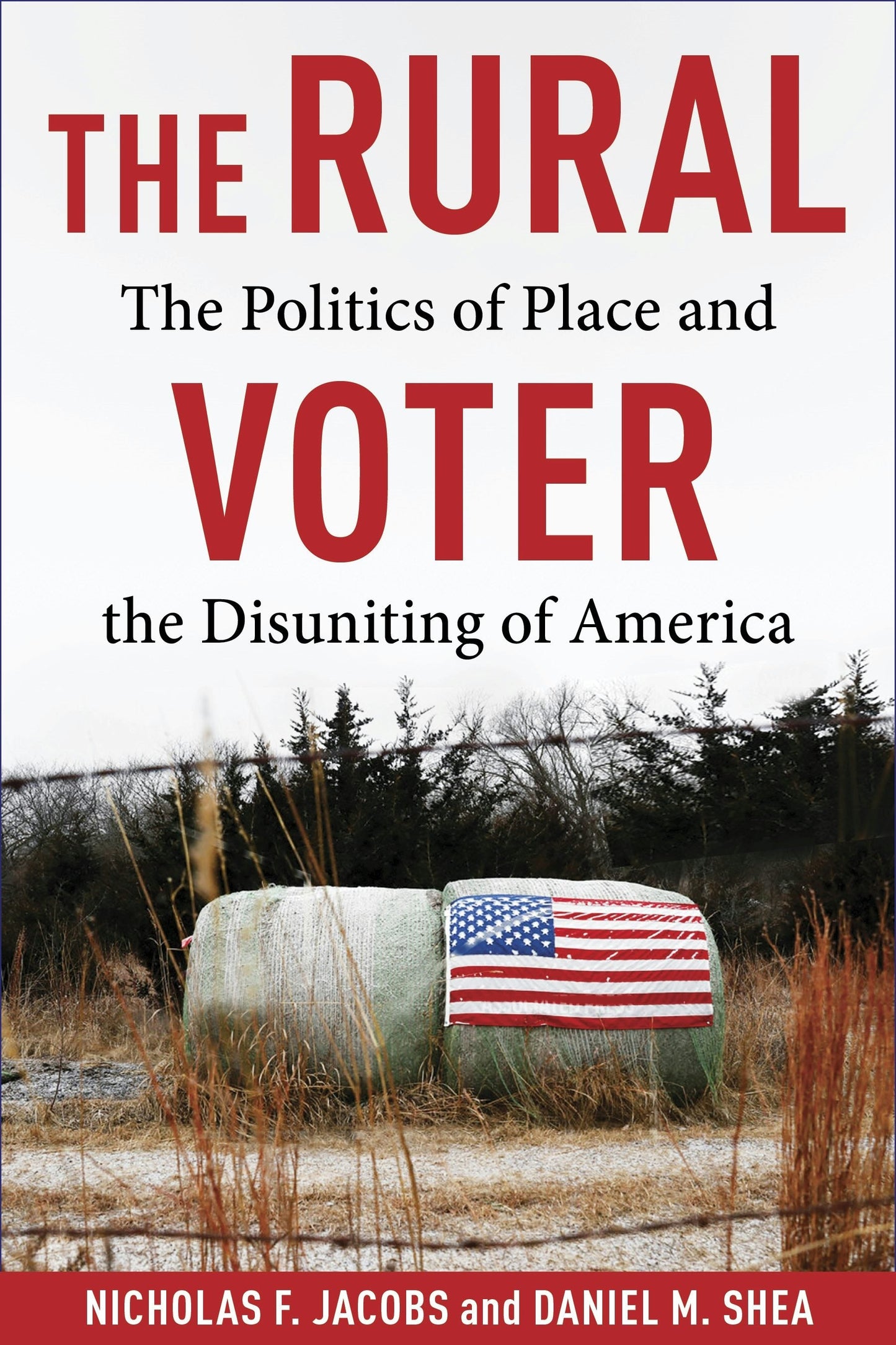 Book cover image for The Rural Voter ISBN: 9780231218573