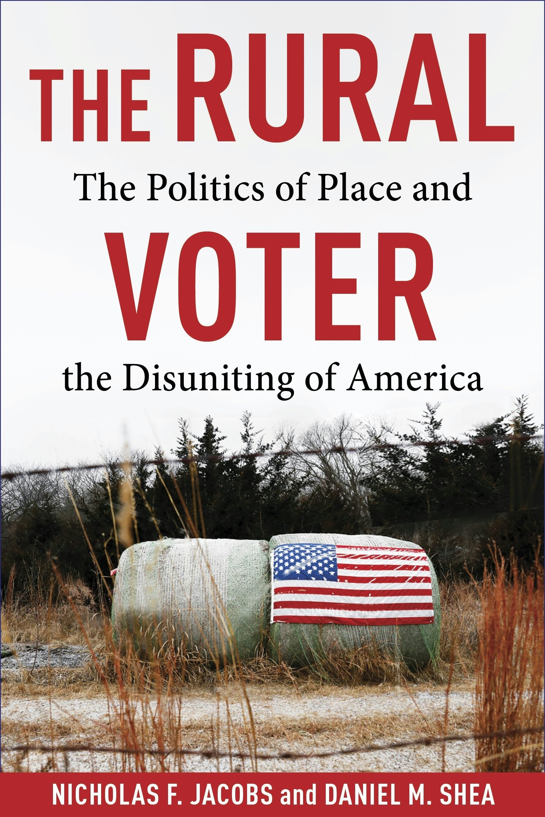 Book cover image for The Rural Voter ISBN: 9780231218573
