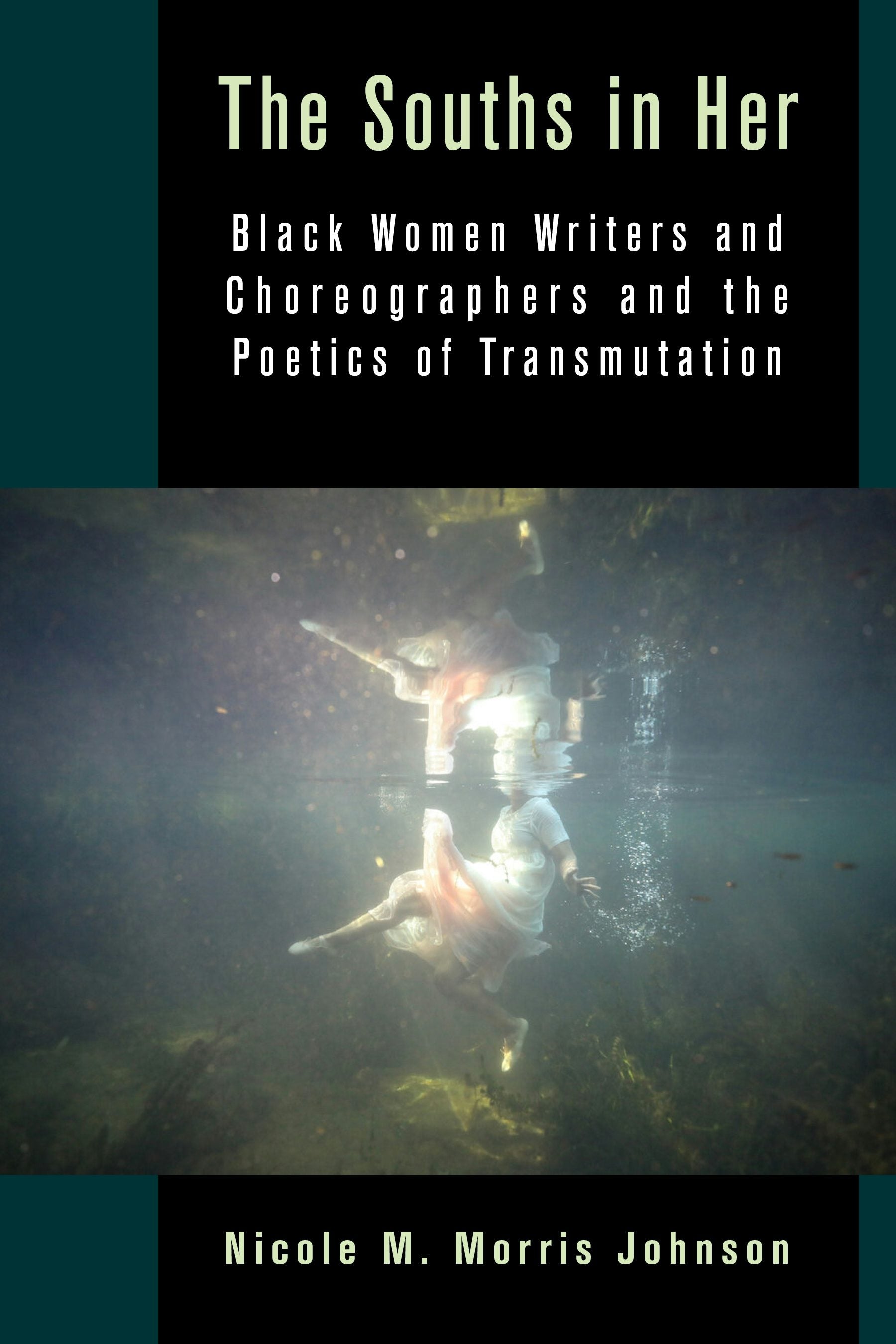 Book cover image for The Souths in Her ISBN: 9780231219679