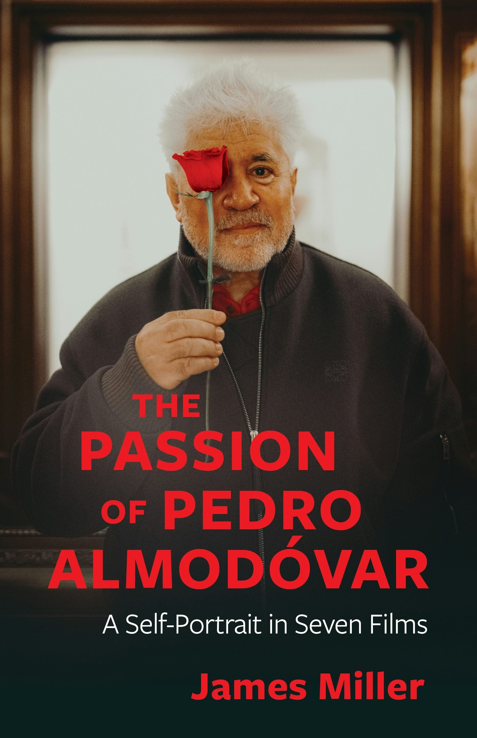 Book cover image for The Passion of Pedro Almodóvar ISBN: 9780231220040