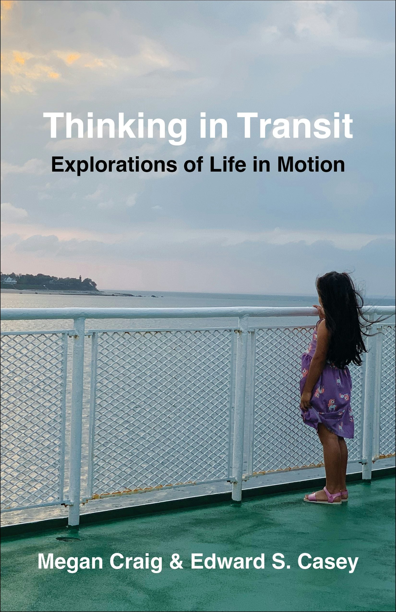 Book cover image for Thinking in Transit ISBN: 9780231221344