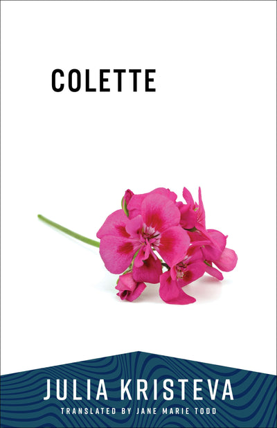 Cover image for Colette, isbn: 9780231223911