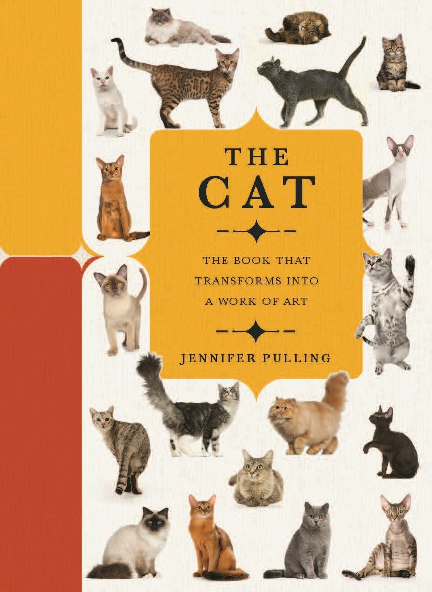 Book cover image for Paperscapes: The Cat ISBN: 9780233005829