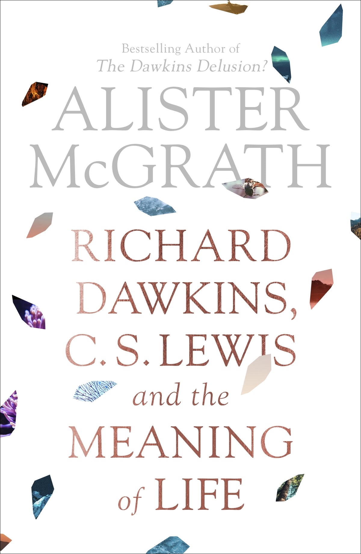 Cover image for Richard Dawkins, C.S. Lewis and the Meaning of Life ISBN 9780281080205