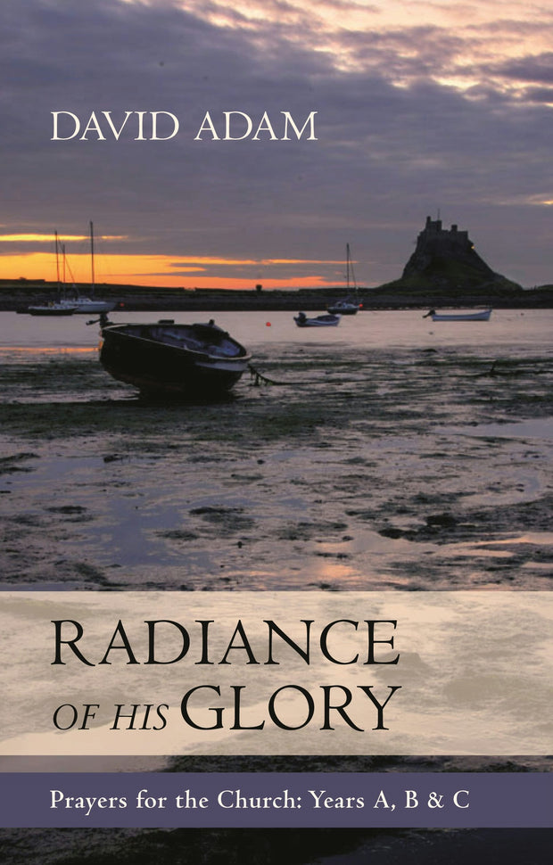 Cover image for The Radiance of His Glory, isbn: 9780281090839