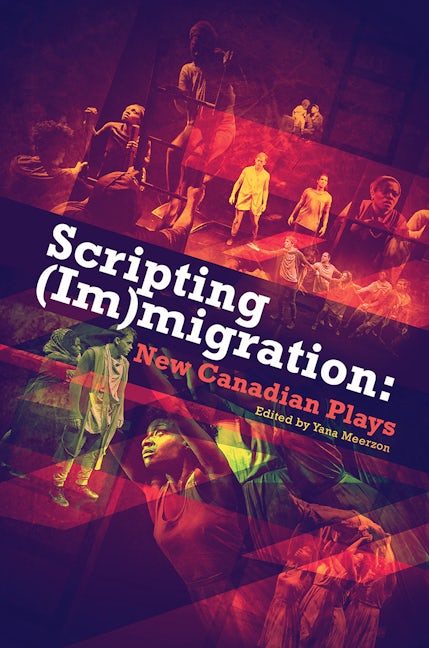 Book cover image for Scripting (Im)migration ISBN: 9780369100009