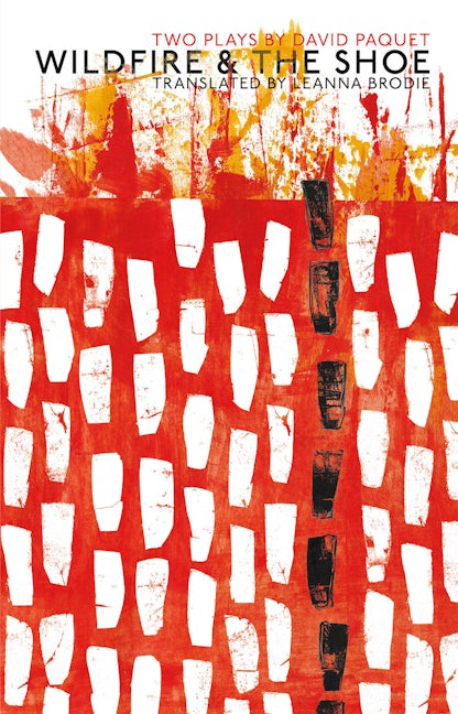 Book cover image for Wildfire & The Shoe ISBN: 9780369104038
