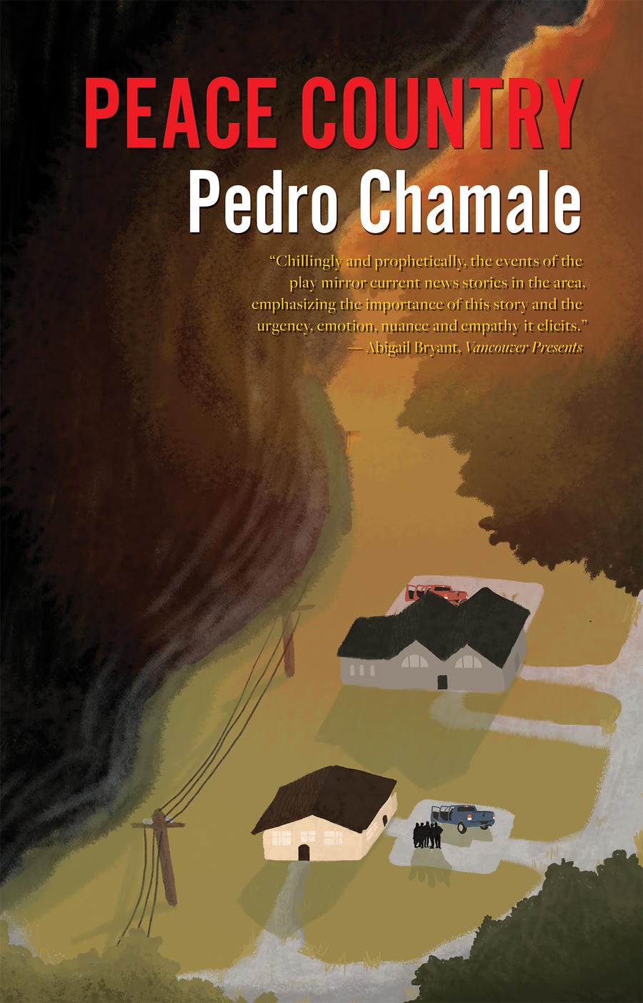 Book cover image for Peace Country ISBN: 9780369105189