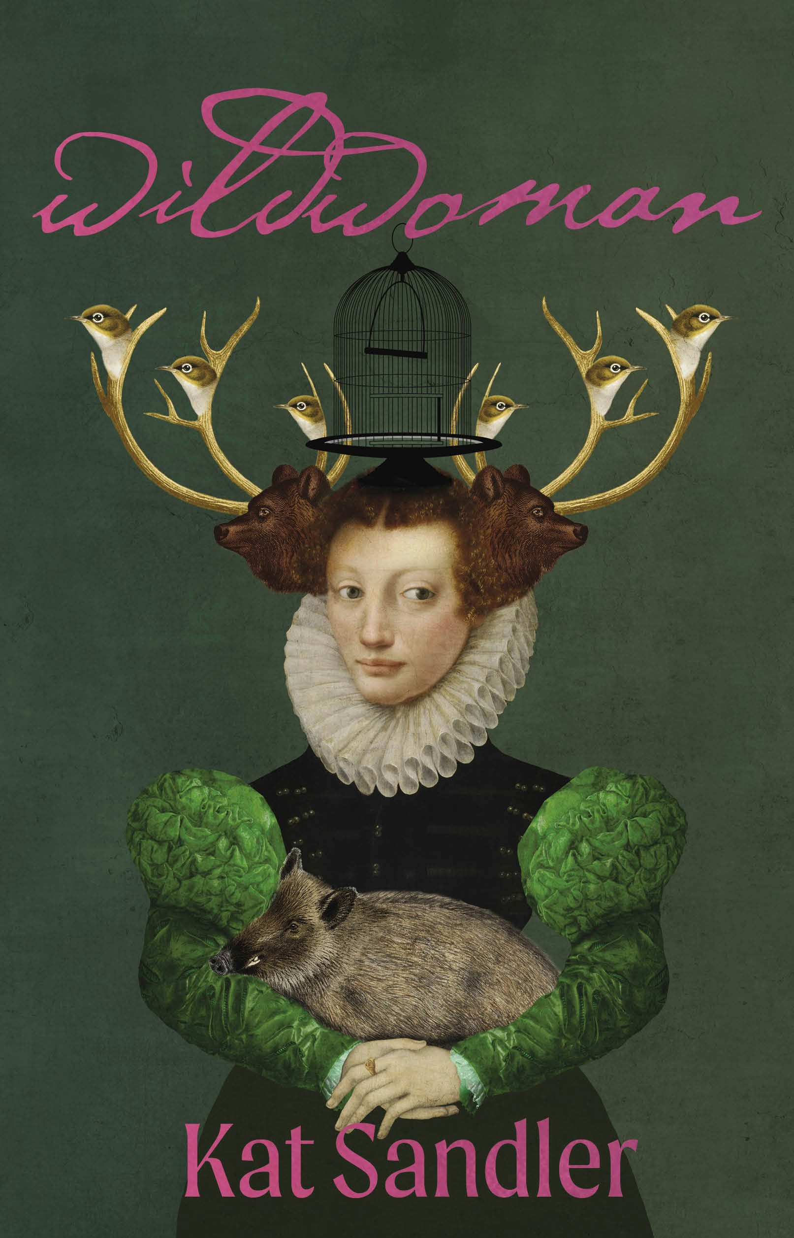 Book cover image for WILDWOMAN ISBN: 9780369105516