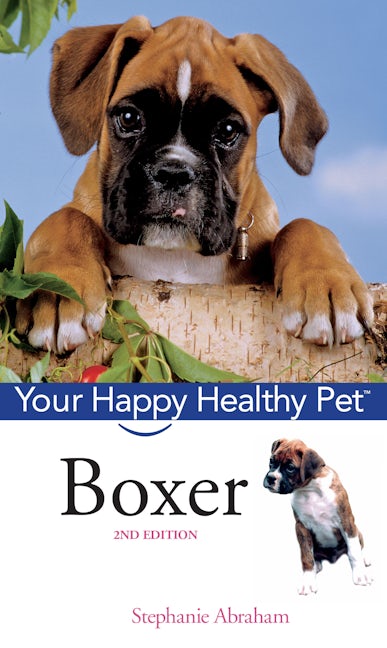 Boxer