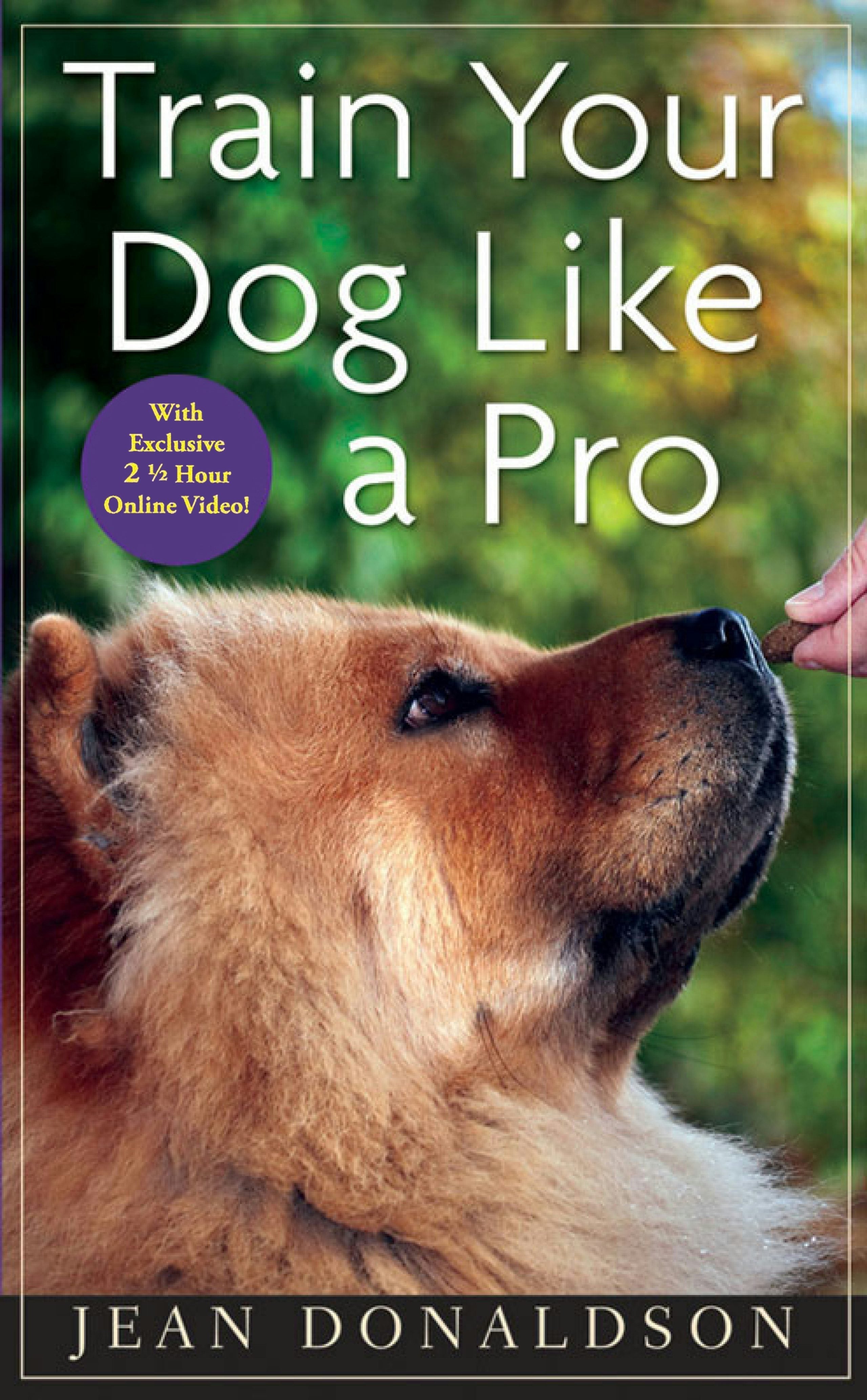 Book cover image for Train Your Dog Like a Pro ISBN: 9780470616161