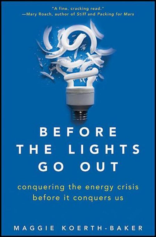 Book cover image for Before the Lights Go Out ISBN: 9780470876251