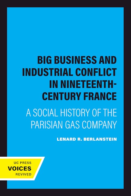 Book cover image for Big Business and Industrial Conflict in Nineteenth-Century France ISBN: 9780520072343