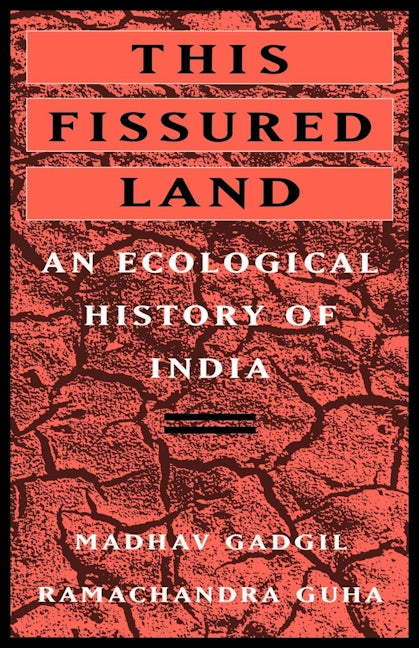 This Fissured Land
