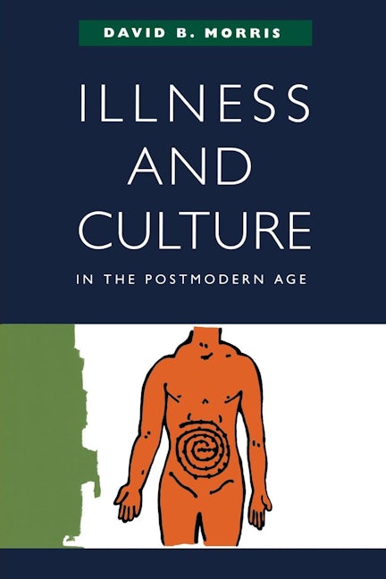Book cover image for Illness and Culture in the Postmodern Age ISBN: 9780520226890
