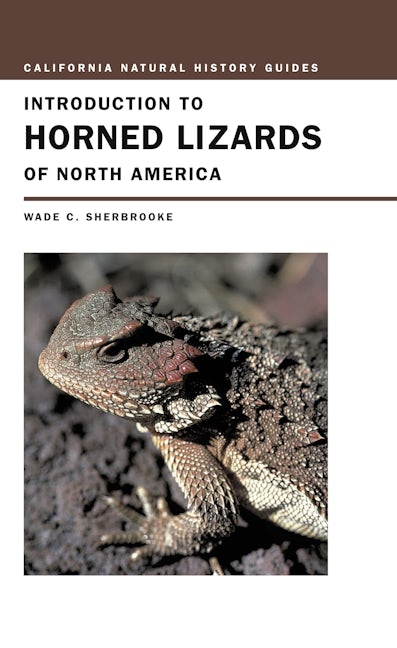 Book cover image for Introduction to Horned Lizards of North America ISBN: 9780520228276