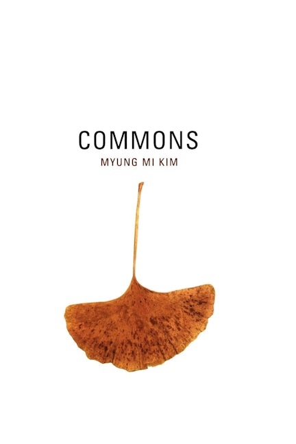 Cover image for Commons ISBN 9780520927841