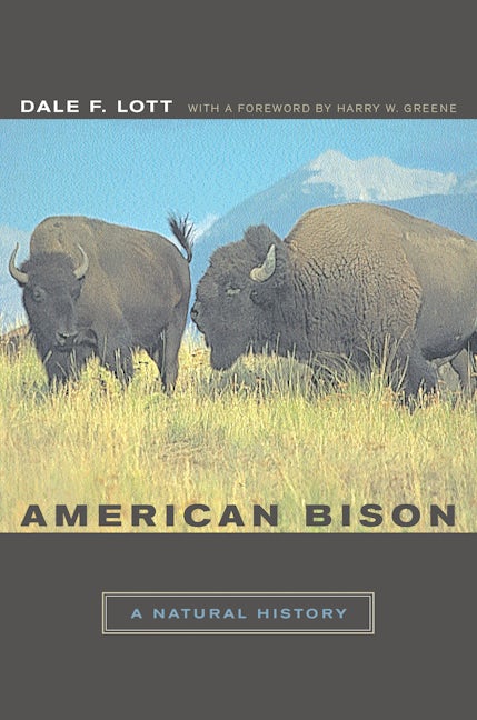 Cover image for American Bison ISBN 9780520930742