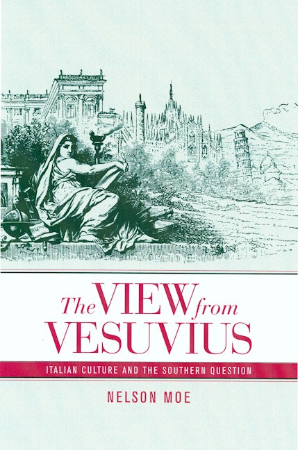 Book cover image for The View from Vesuvius ISBN: 9780520248267