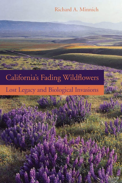 California’s Fading Wildflowers