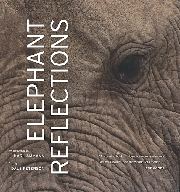 Book cover image for Elephant Reflections ISBN: 9780520253773