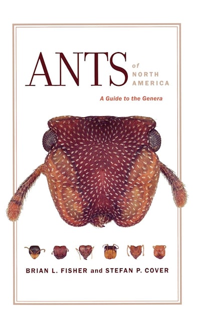Cover image for Ants of North America ISBN 9780520934559
