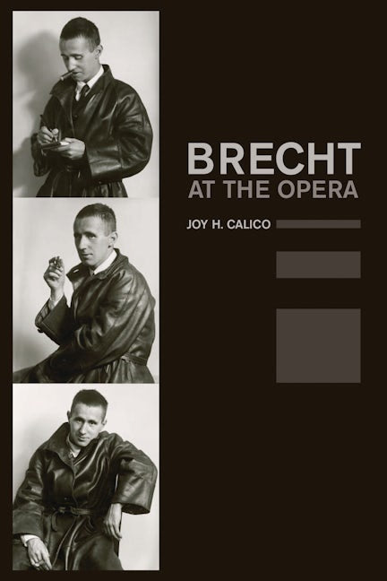 Book cover image for Brecht at the Opera ISBN: 9780520254824