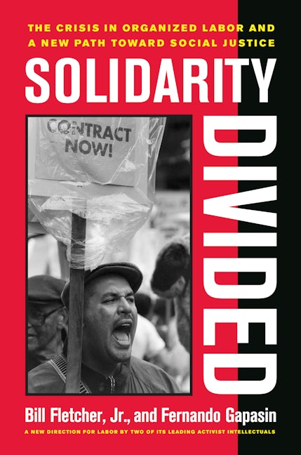 Book cover image for Solidarity Divided ISBN: 9780520261563