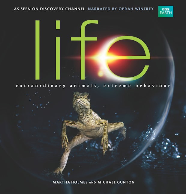 Book cover image for Life ISBN: 9780520265370
