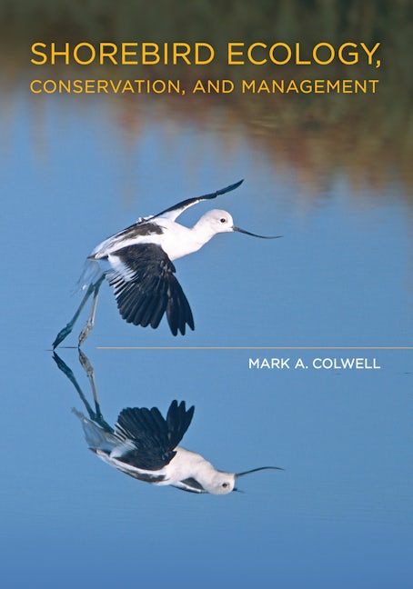 Cover image for Shorebird Ecology, Conservation, and Management ISBN 9780520947962