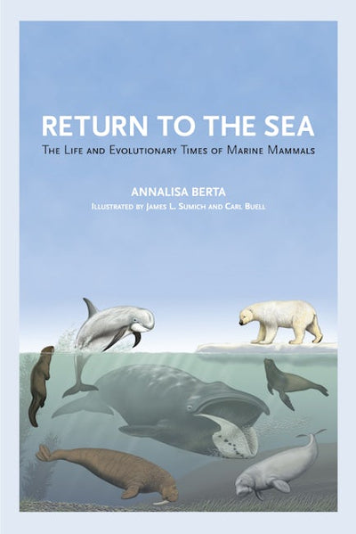 Return to the Sea