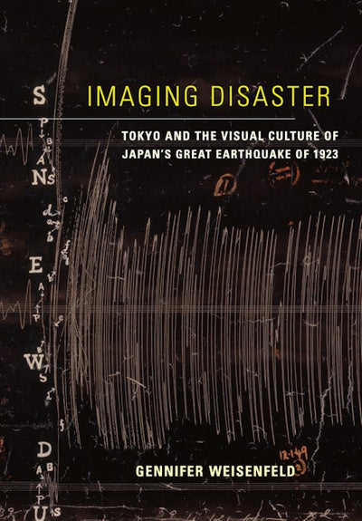 Imaging Disaster