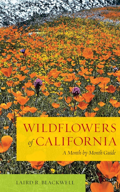Book cover image for Wildflowers of California ISBN: 9780520272064